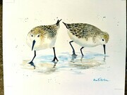 A Pair of Sandpipers