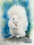 White Squirrel - SOLD