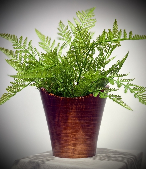 Amboyna Wood Vessel