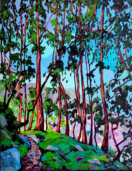Eucalptus Trees on the Nuns Valley Trail Portugal