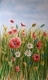 Flander's Poppies