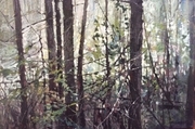Serenity SOLD