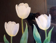 White TulipTrio